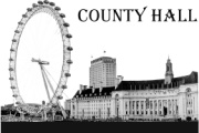 County Hall Insurance Company, a RRG